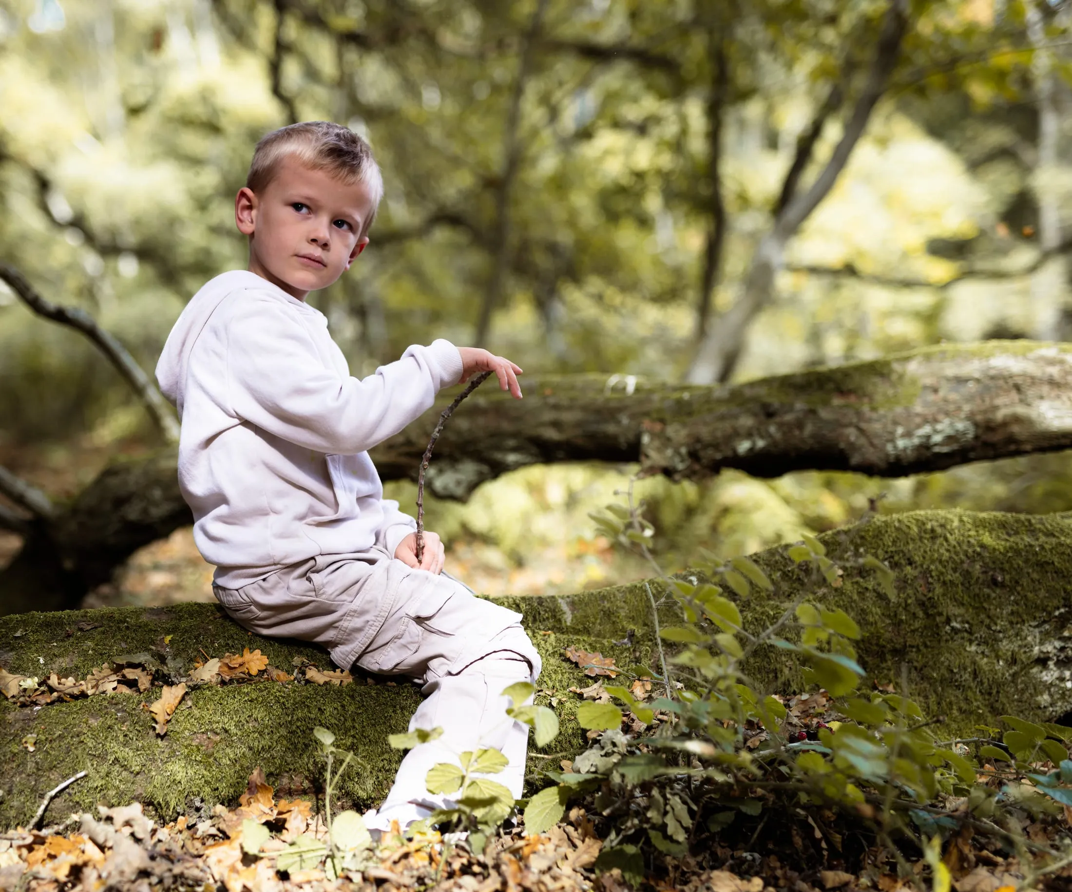 Child exploring a fallen log in autumn woodland