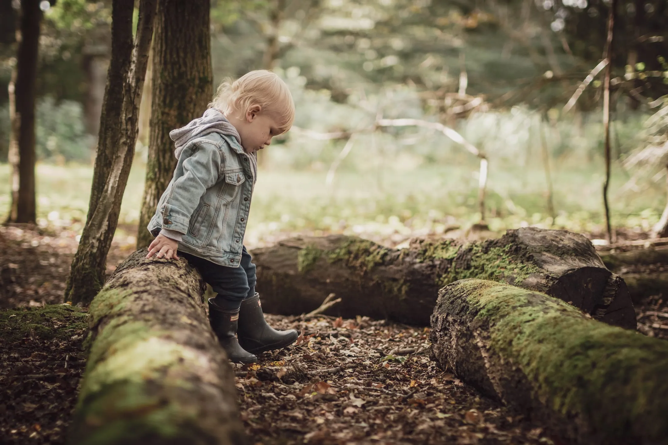 Child playing by a fallen log in the woods